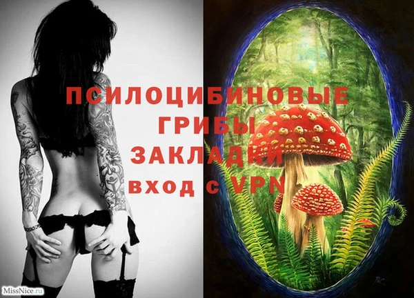 крисы Рославль