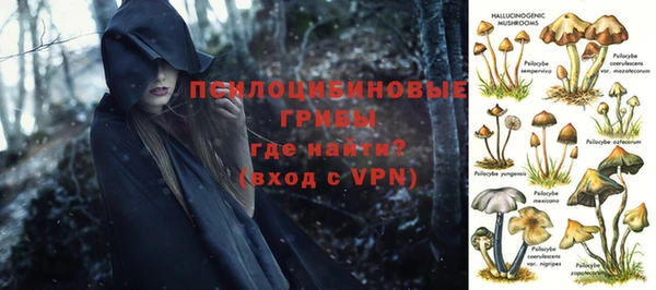 крисы Рославль