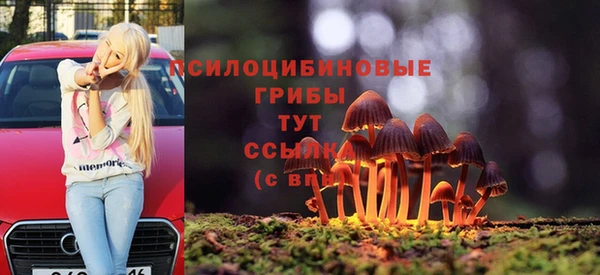 дмт Ленинск